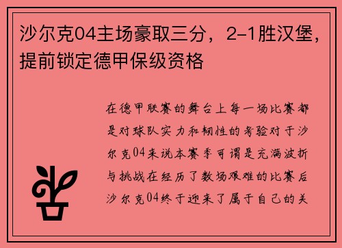 沙尔克04主场豪取三分，2-1胜汉堡，提前锁定德甲保级资格