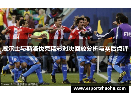 威尔士与斯洛伐克精彩对决回放分析与赛后点评