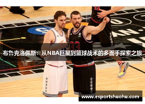 布鲁克洛佩斯：从NBA巨星到篮球战术的多面手探索之旅